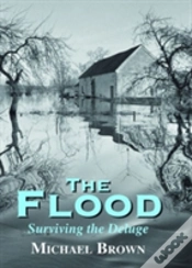 Capa do artigo The Flood