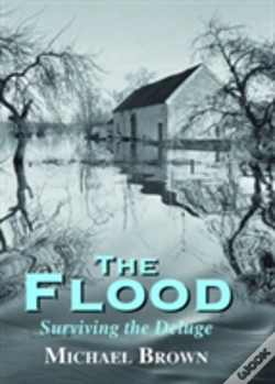 Capa do artigo The Flood