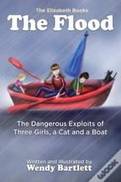 Capa do artigo The Flood