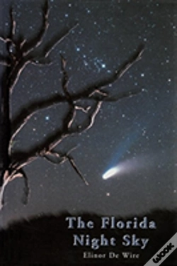 Capa do artigo The Florida Night Sky