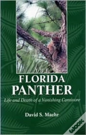 Capa do artigo The Florida Panther