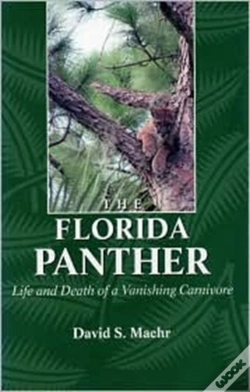 Capa do artigo The Florida Panther