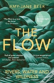 Capa do artigo The Flow