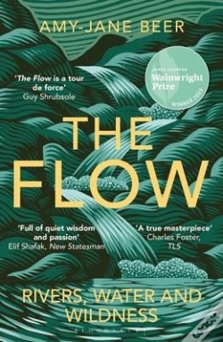 Capa do artigo The Flow