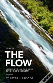 Capa do artigo The Flow