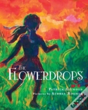 Capa do artigo The Flowerdrops