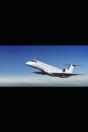 The Flying Squad - Preview