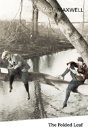 The Folded Leaf - Preview