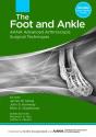 The Foot And Ankle - Preview