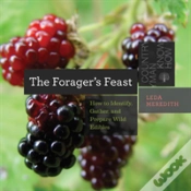 Capa do artigo The Forager