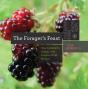 The Forager'S Feast - Preview