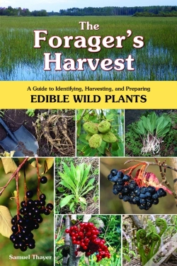 Capa do artigo The Forager'S Harvest