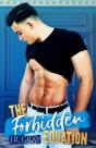 The Forbidden Equation - Preview