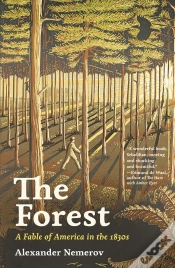 Capa do artigo The Forest