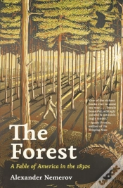 Capa do artigo The Forest
