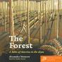 The Forest - Preview