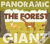 Capa do artigo The Forest