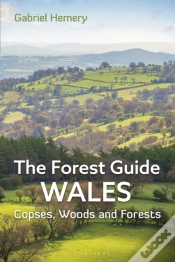 Capa do artigo The Forest Guide: Wales
