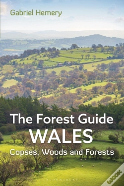 Capa do artigo The Forest Guide: Wales