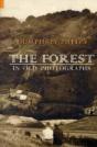 The Forest In Old Photographs - Preview