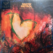 Capa do artigo The Forest Is The Path - Vinil