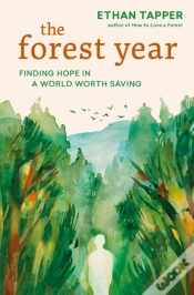 Capa do artigo The Forest Year