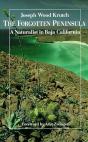 The Forgotten Peninsula - Preview