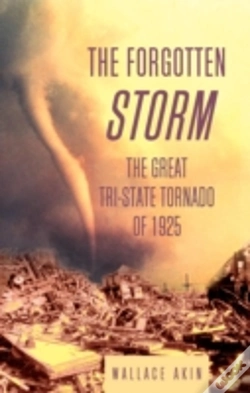 Capa do artigo The Forgotten Storm