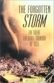 Capa do artigo The Forgotten Storm