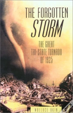 Capa do artigo The Forgotten Storm