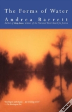 Capa do artigo The Forms Of Water