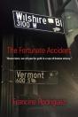 The Fortunate Accident - Preview