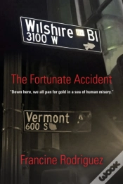 Capa do artigo The Fortunate Accident