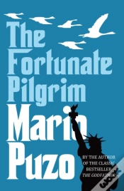 Capa do artigo The Fortunate Pilgrim