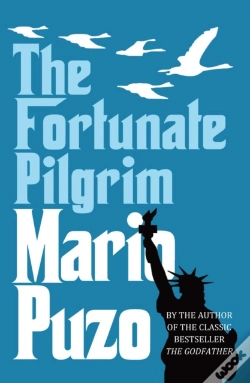 Capa do artigo The Fortunate Pilgrim