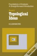 The Foundations Of Topological Analysis: A Straightforward Introduction