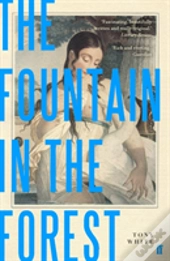 The Fountain In The Forest