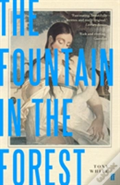 Capa do artigo The Fountain In The Forest
