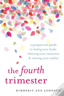 Capa do artigo The Fourth Trimester