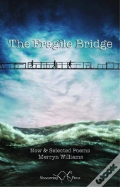 The Fragile Bridge