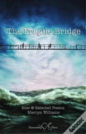 Capa do artigo The Fragile Bridge