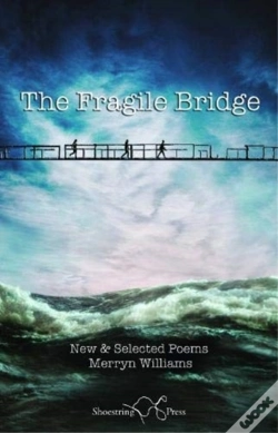 Capa do artigo The Fragile Bridge