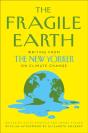 The Fragile Earth - Preview