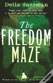 Capa do artigo The Freedom Maze