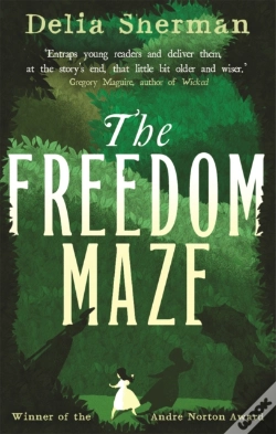 Capa do artigo The Freedom Maze