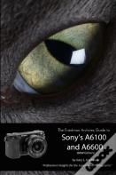 The Friedman Archives Guide To Sony'S Alpha 6100 And 6600 (B&W Edition)