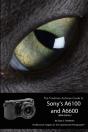 The Friedman Archives Guide To Sony'S Alpha 6100 And 6600 (B&W Edition) - Preview