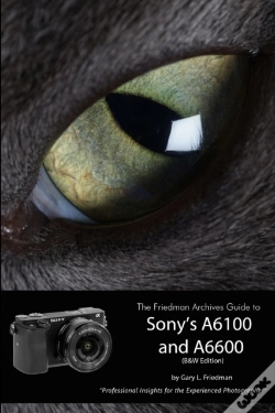 Capa do artigo The Friedman Archives Guide To Sony'S Alpha 6100 And 6600 (B&W Edition)