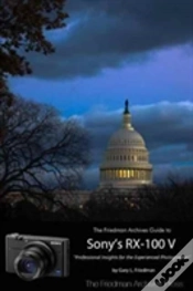 Capa do artigo The Friedman Archives Guide To Sony