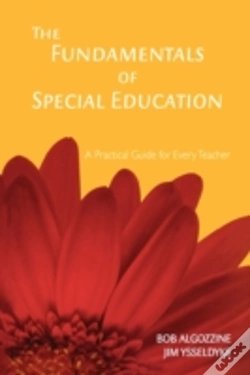 Capa do artigo The Fundamentals Of Special Education